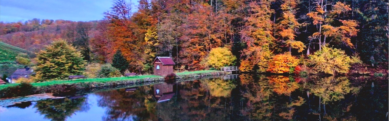 Mühlenteich im Herbst 2023 (c) Andreas Bücher