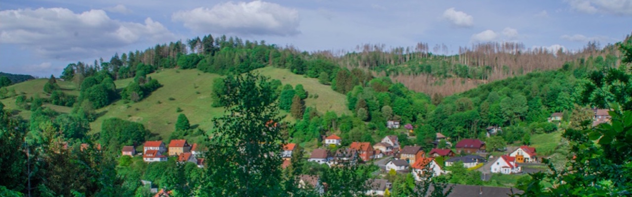 Blick vom Knauteplatz auf UnterLerbach mit Körnigsecke und Schafmeistertal, 2020 - (c) Otto Schönfelder